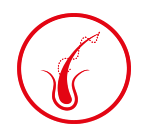 Rejuvenates hair follicle